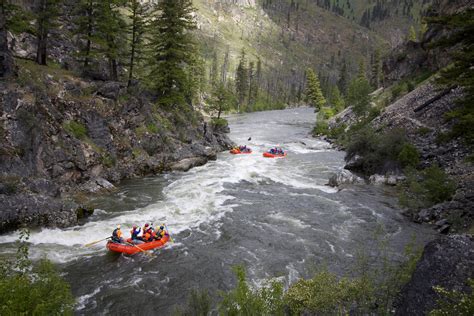 Middle fork - The Middle Fork Salmon is not the only world famous multi-day whitewater in Idaho. Just north lies the Selway and to the west runs the South Fork Salmon. Both are a step up in terms of difficulty and remoteness but the Middle Fork is top for scenery, hot springs and a longer trip. Video: Middle Fork Salmon Shoshone-Bannock …